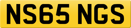 NS65NGS